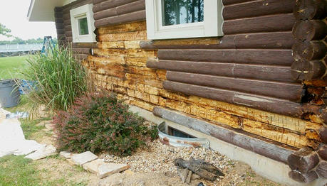 Stop Wood Rot Early: A Care Guide for Log Homes and Wooden Houses