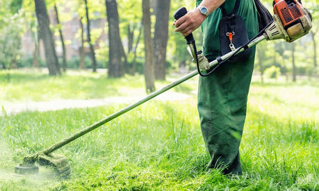 2025 Lawn Mower Blacklist: 9 Models That Could Turn Your Lawn into a Battlefield
