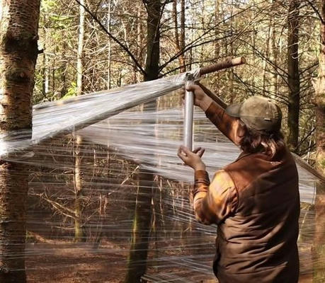 Log Cabin Moisture and Pest Control Tips: Protect Your Home