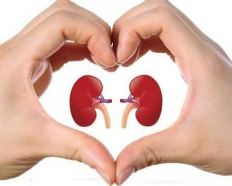 15 Super Herbs for Kidney Health: Natural Remedies Your Doctor Won't Tell You About!