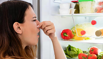 Top 10 Food Storage Mistakes to Avoid in Your Summer Cabin