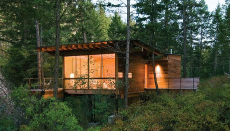 Hidden Tips for Pest and Mold Prevention in Your Log Cabin